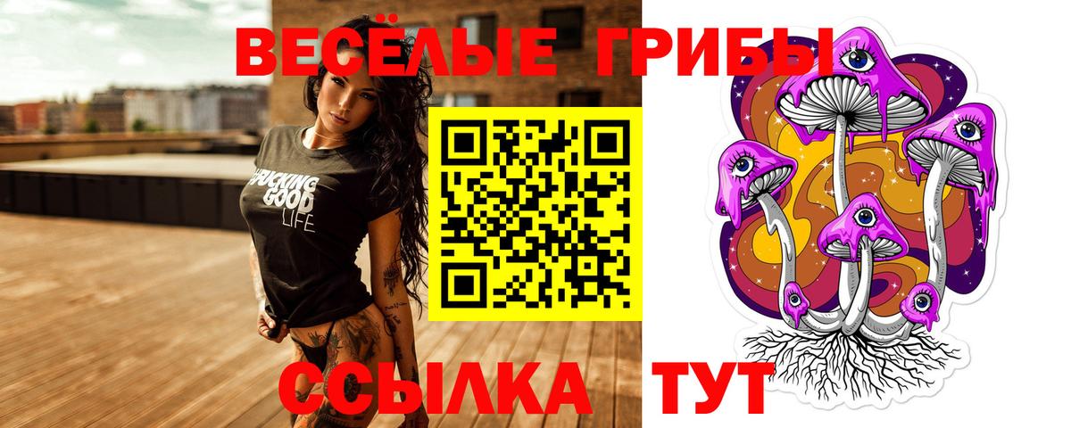 Рославль  Псилоцибиновые грибы GOLDEN TEACHER  Вход с VPN 
